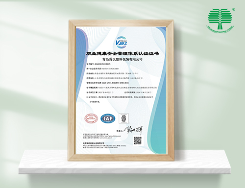 职业健康安全管理体 系 ISO45001